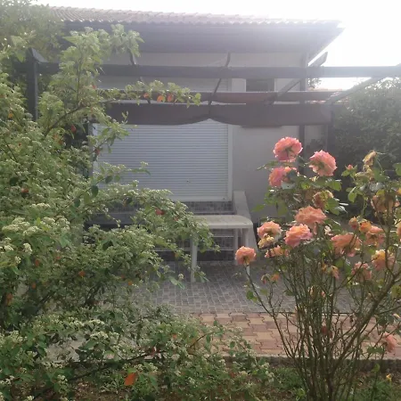 Cavone 2 Apartment Castellare-di-Casinca Exterior photo